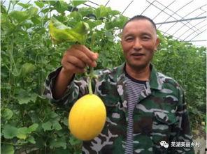 吃瓜基地福利网,揭秘热门福利，畅享生活新体验