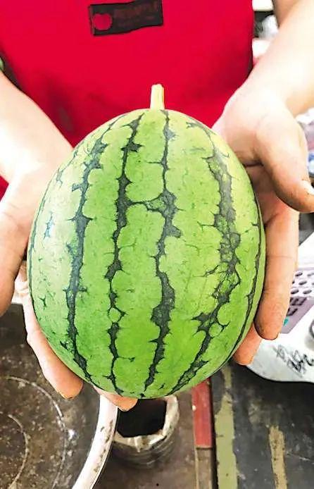 青岛的网红吃瓜事件