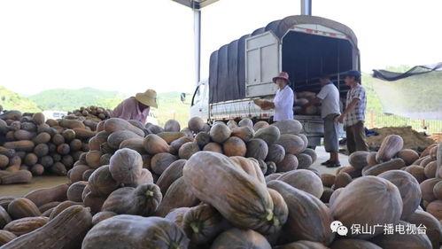 51吃瓜网施甸,51吃瓜网带你揭秘当地美食文化