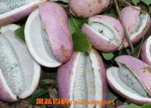 网购八月瓜怎么吃