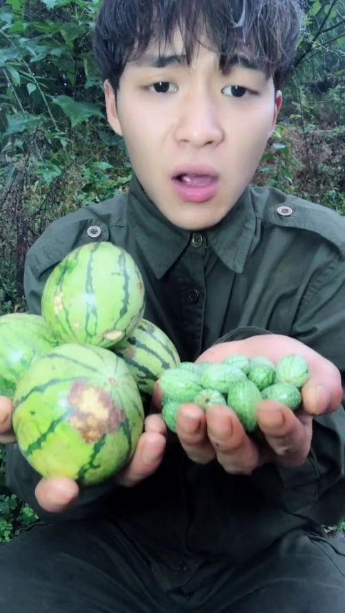 全网都在吃小瓜的网红,揭秘“小瓜”网红背后的故事