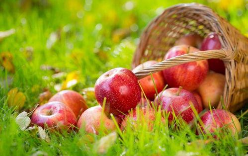 苹果浏览器吃瓜网,吃瓜网背后的秘密与魅力