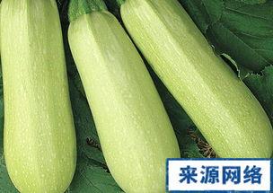 吃瓜网番瓜,揭秘吃瓜网上的热门话题与幕后故事