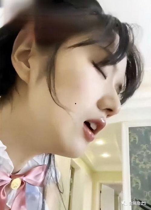 吃瓜视频在哪看网红视频,网红视频一网打尽，热门内容轻松获取