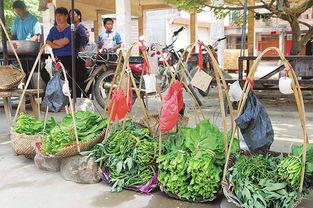 摆摊网红吃瓜视频下载安装,轻松追剧，畅享美食时光