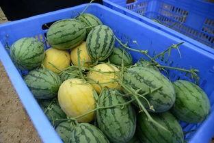 五一吃瓜今日吃瓜网黄