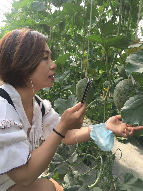 新疆吃瓜网红叫什么名字