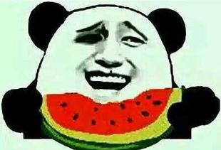 吃瓜被网暴,揭秘网络暴力的阴影面