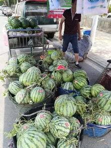 枣庄吃瓜网红事件,网络舆论的风暴与反思