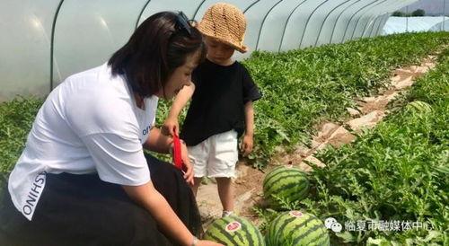 临夏网红吃瓜事件视频,一场网络狂欢背后的真相揭秘