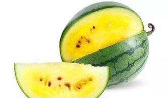 临沂网红团队吃瓜,趣味横生幕后花絮大揭秘