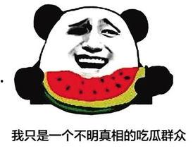 吃瓜群众之一网名